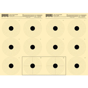 BB Gun 12 Bull Competition Target - 5m