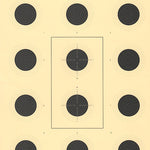 10m Air Rifle 12 Bull Target